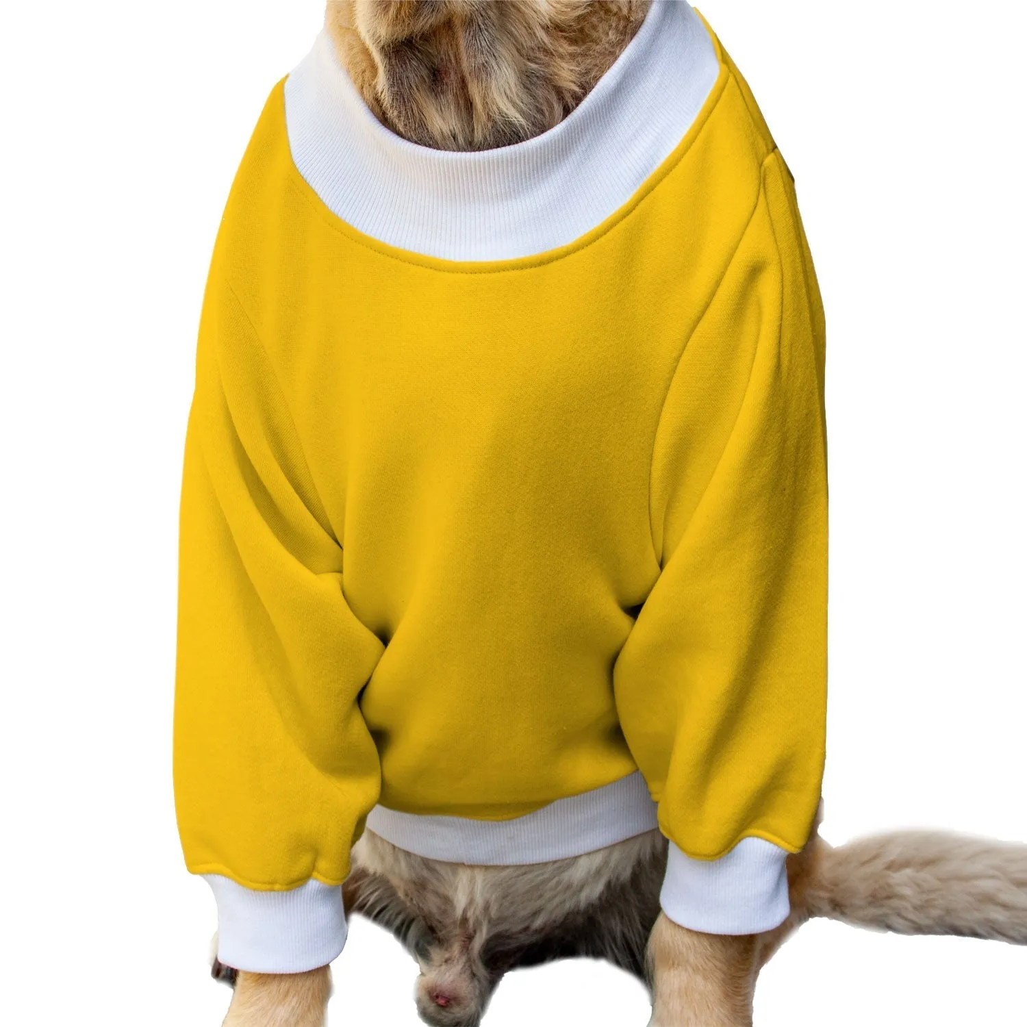 Ruse 'Basics' "Only Treats" Printed Crew Neck Full Sleeve Sweatshirt For Dogs