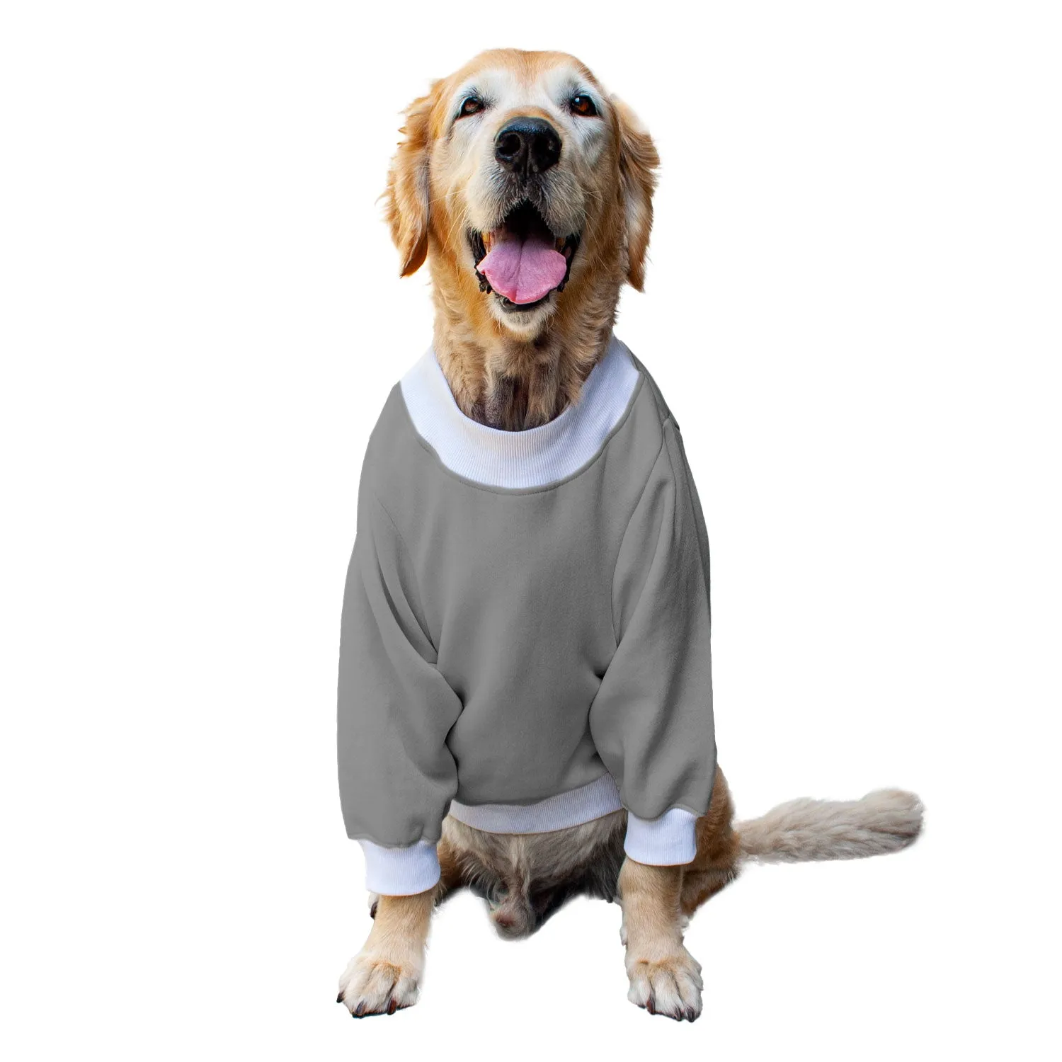 Ruse 'Basics' "Only Treats" Printed Crew Neck Full Sleeve Sweatshirt For Dogs