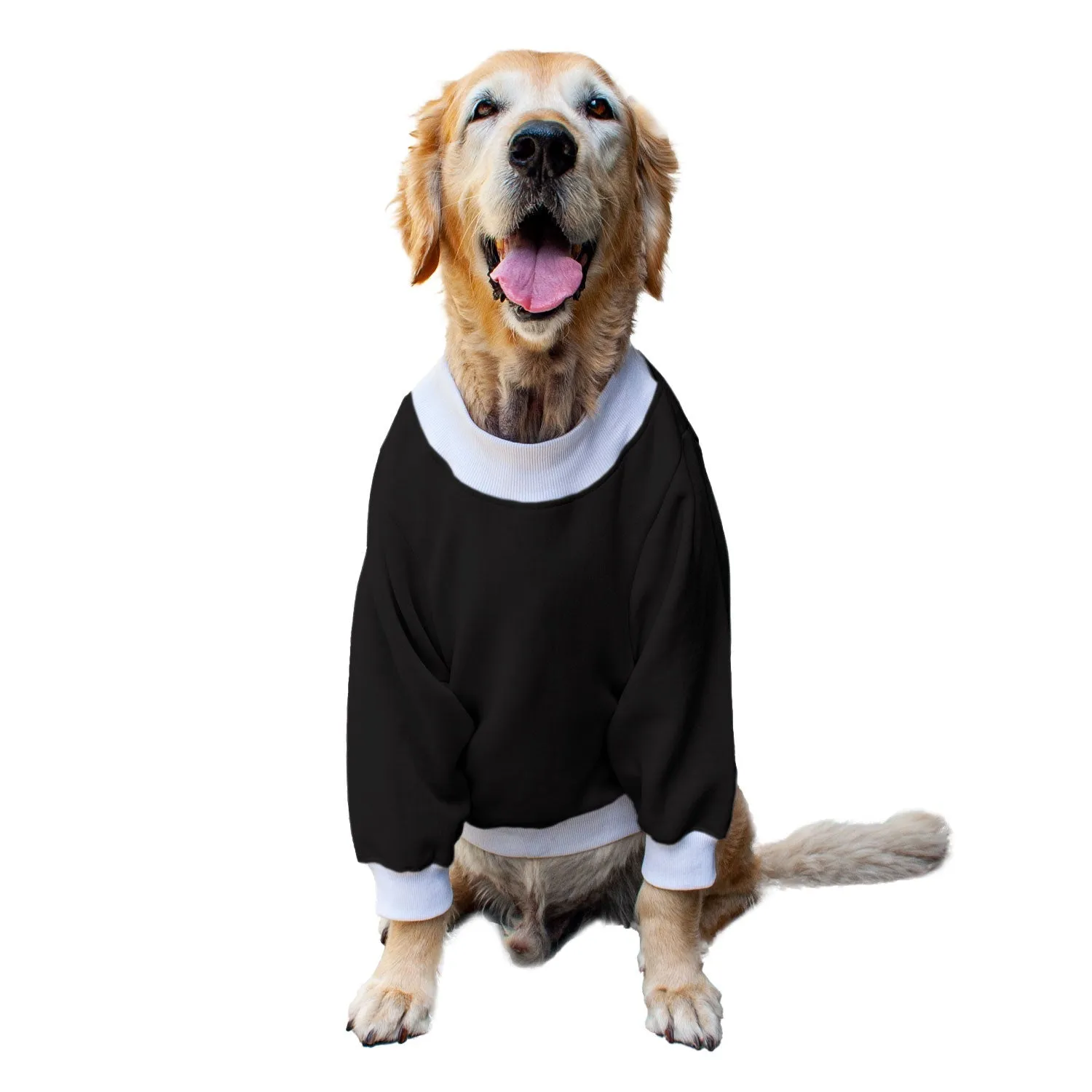 Ruse 'Basics' "Only Treats" Printed Crew Neck Full Sleeve Sweatshirt For Dogs