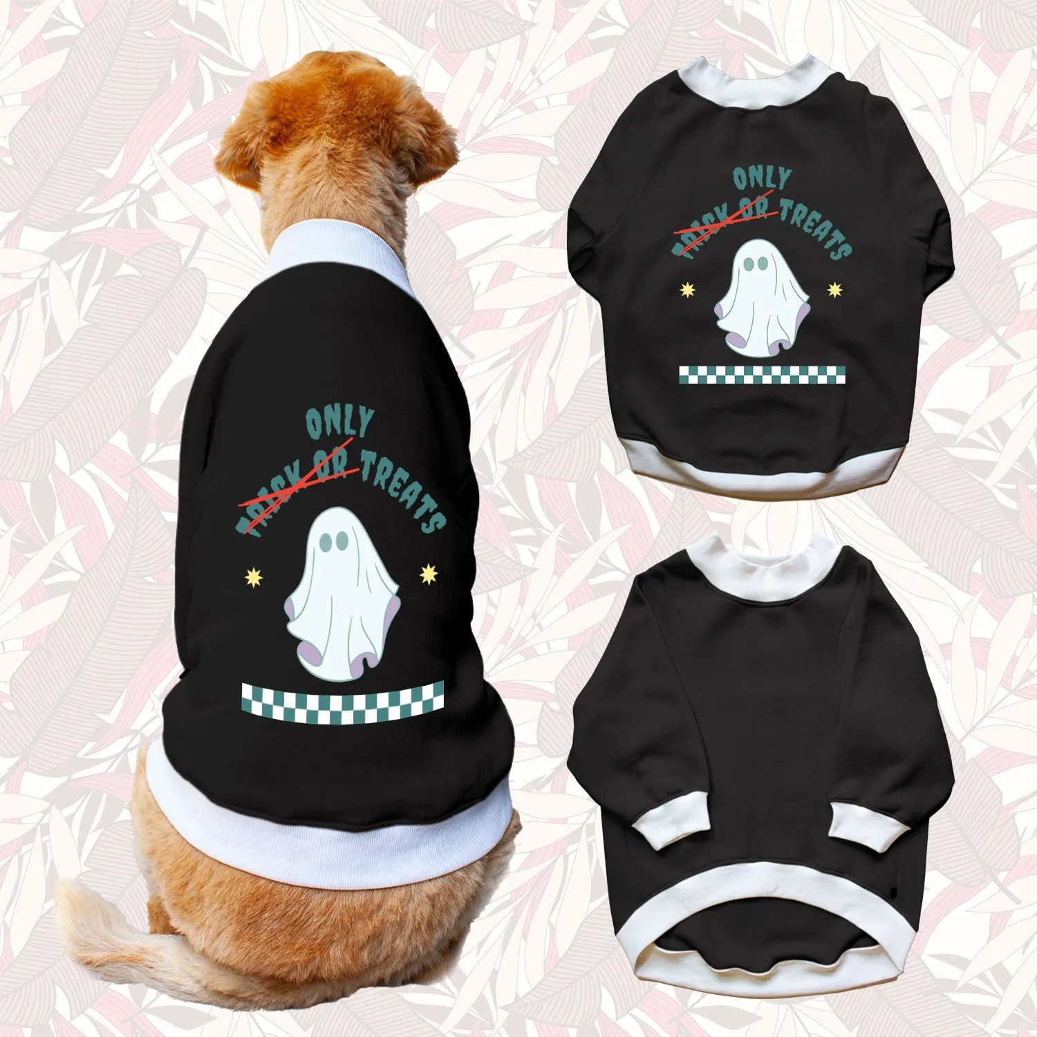 Ruse 'Basics' "Only Treats" Printed Crew Neck Full Sleeve Sweatshirt For Dogs