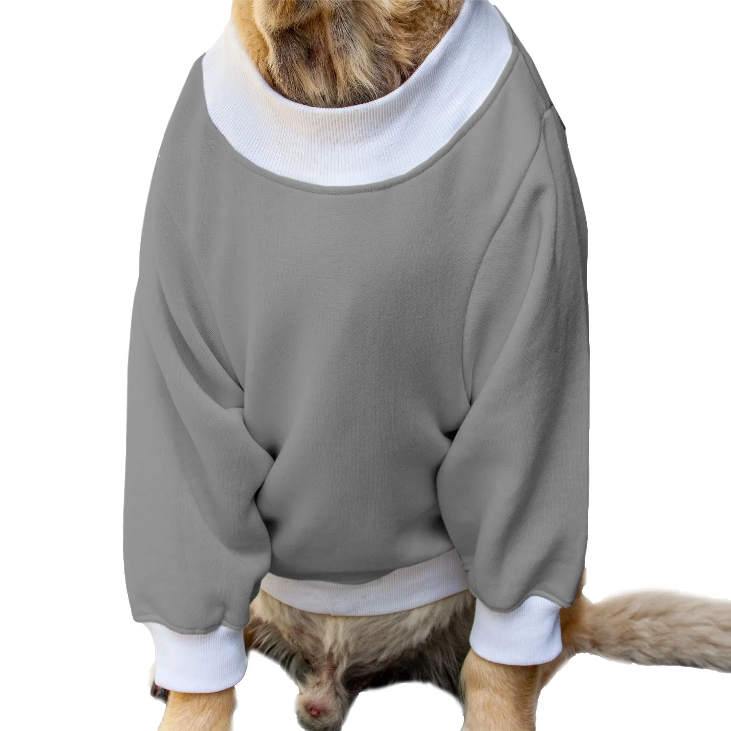 Ruse 'Basics' "Only Treats" Printed Crew Neck Full Sleeve Sweatshirt For Dogs