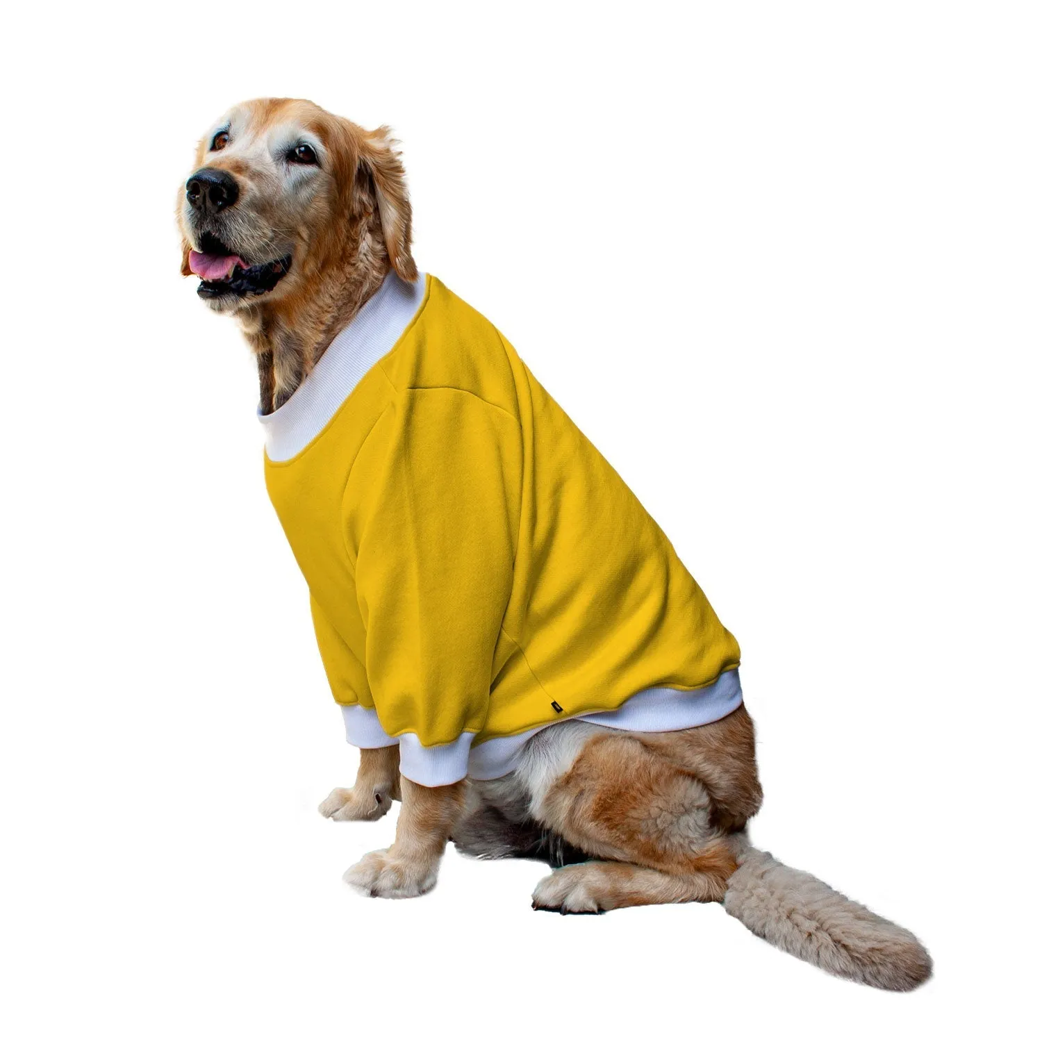 Ruse 'Basics' "Only Treats" Printed Crew Neck Full Sleeve Sweatshirt For Dogs